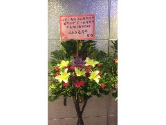 2017-10-20 香港臺(tái)山同鄉(xiāng)總會(huì)(新界分會(huì))第一屆理事就職典禮